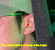 frontal_ear